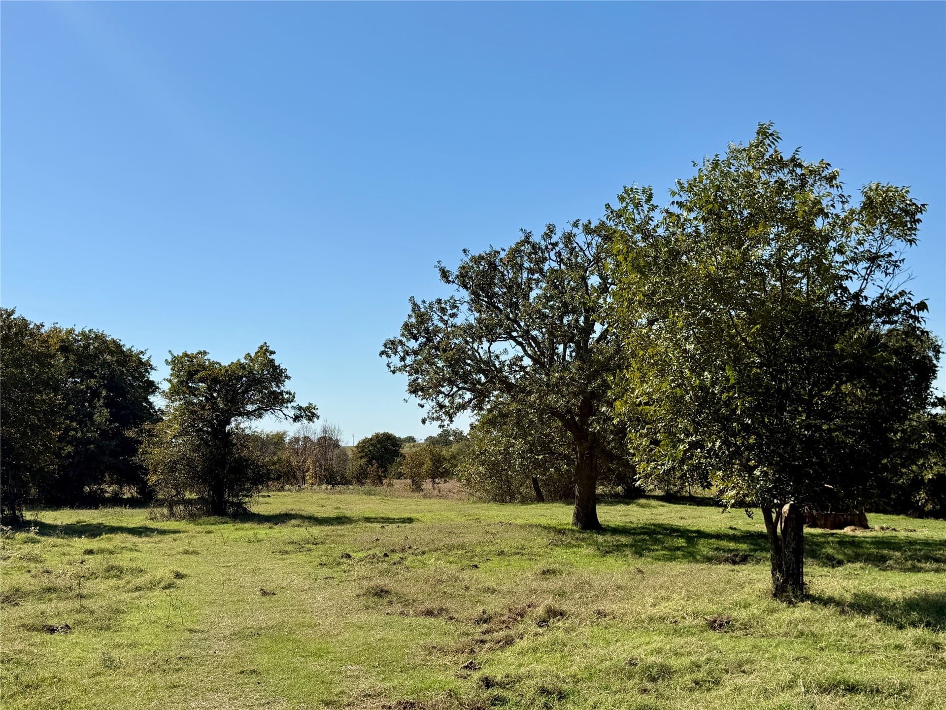 76.52 acres in Montague County - photo 7