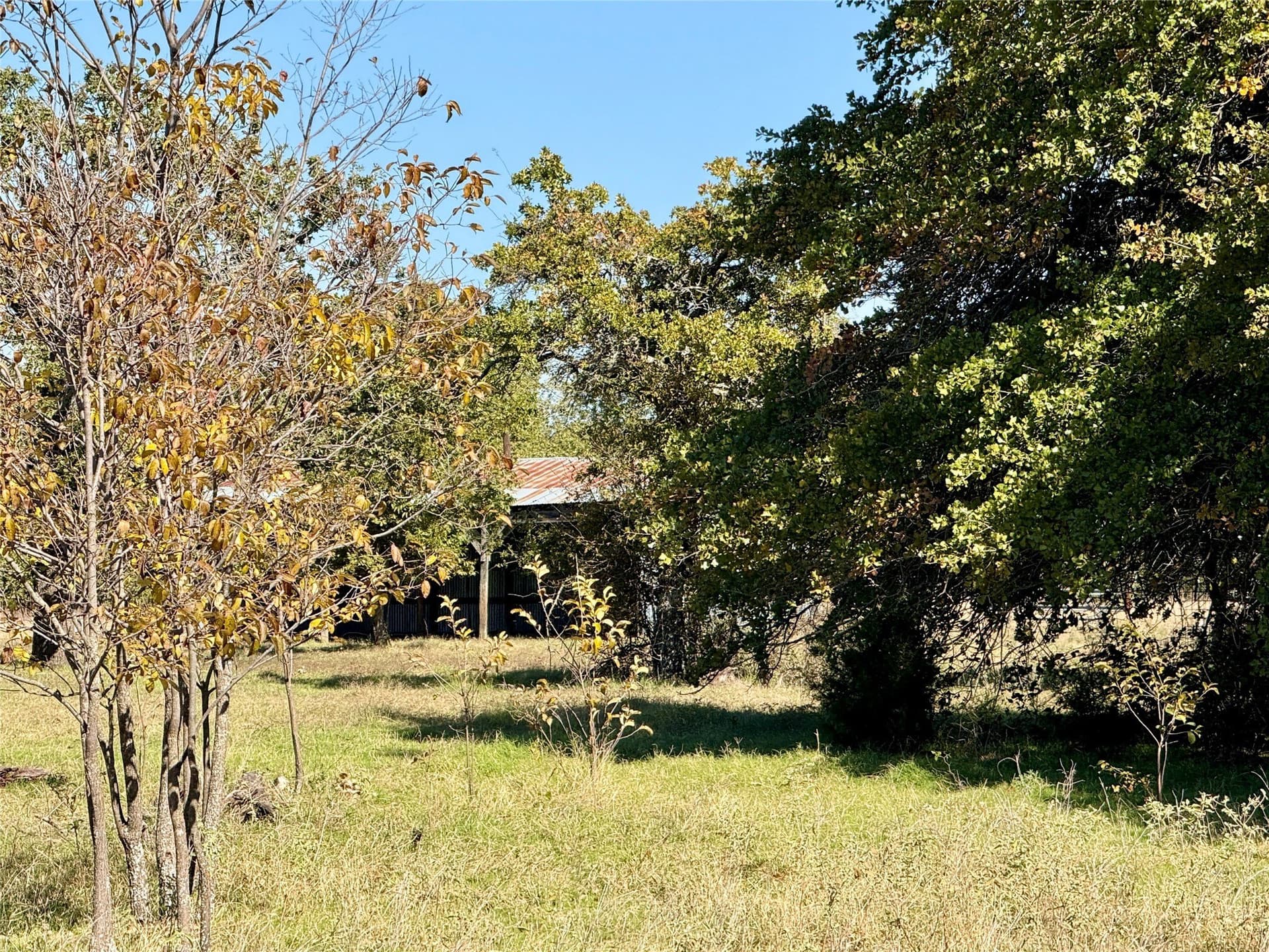 76.52 acres in Montague County - photo 10