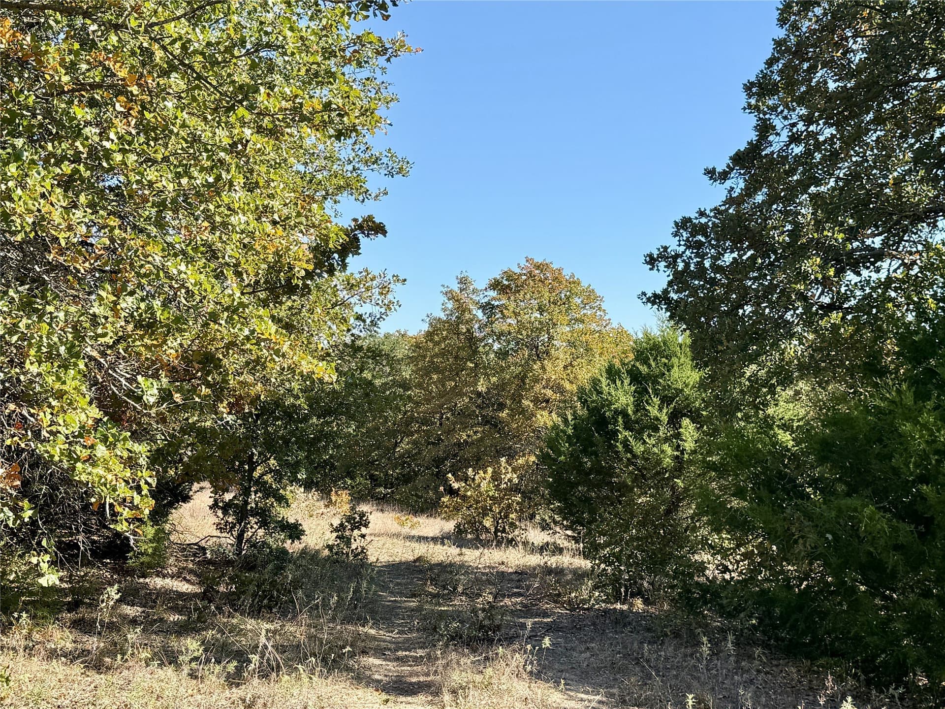 76.52 acres in Montague County - photo 6