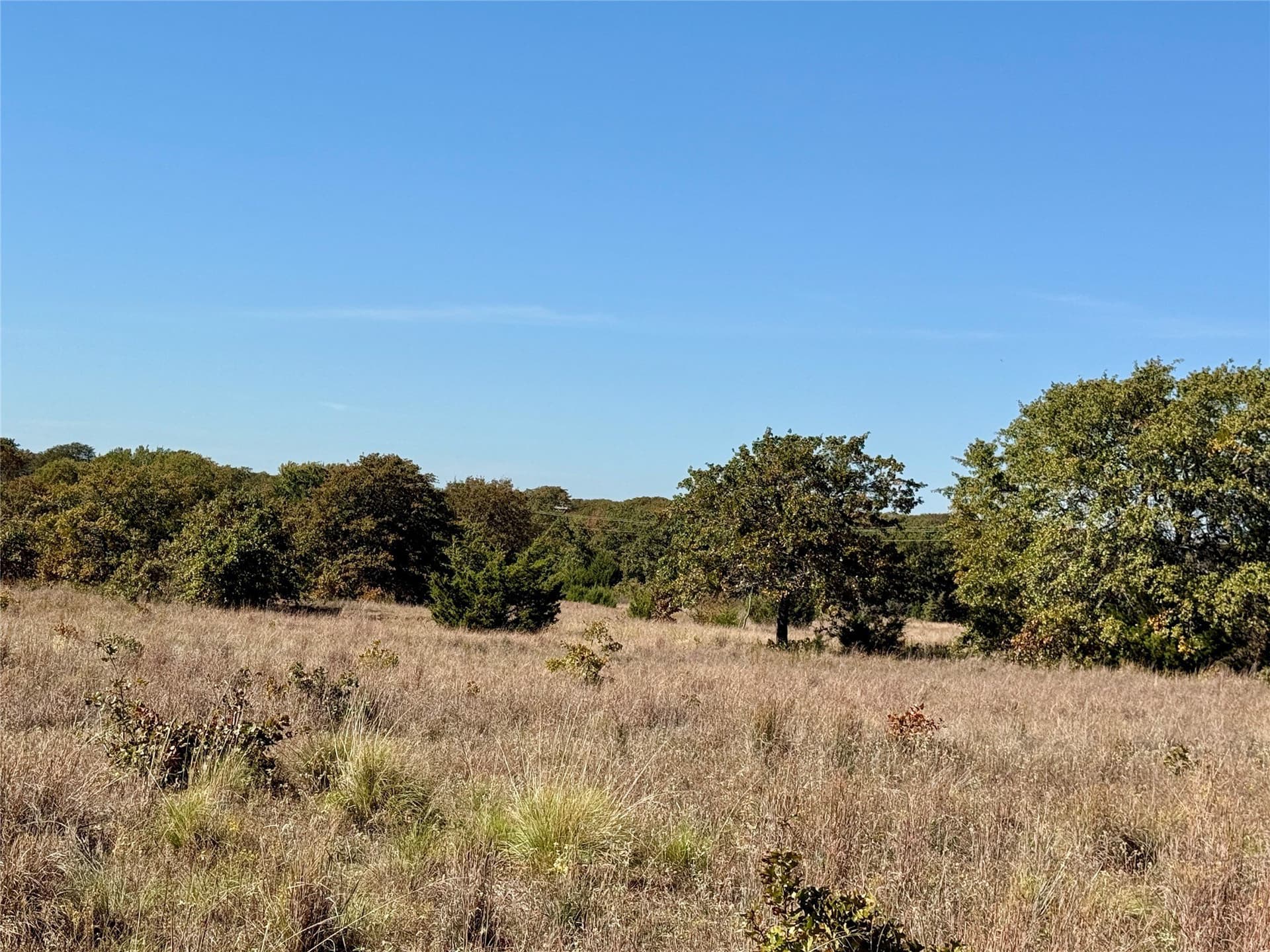 76.52 acres in Montague County - photo 20