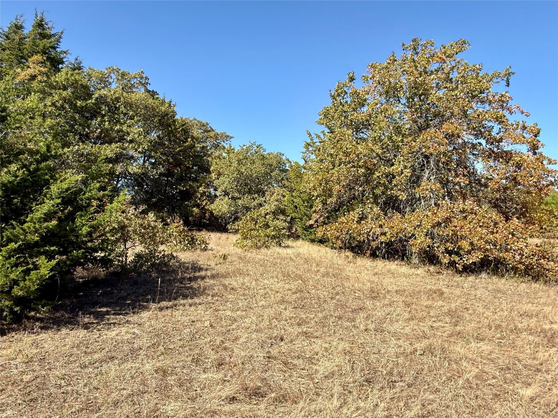 76.52 acres in Montague County - photo 17
