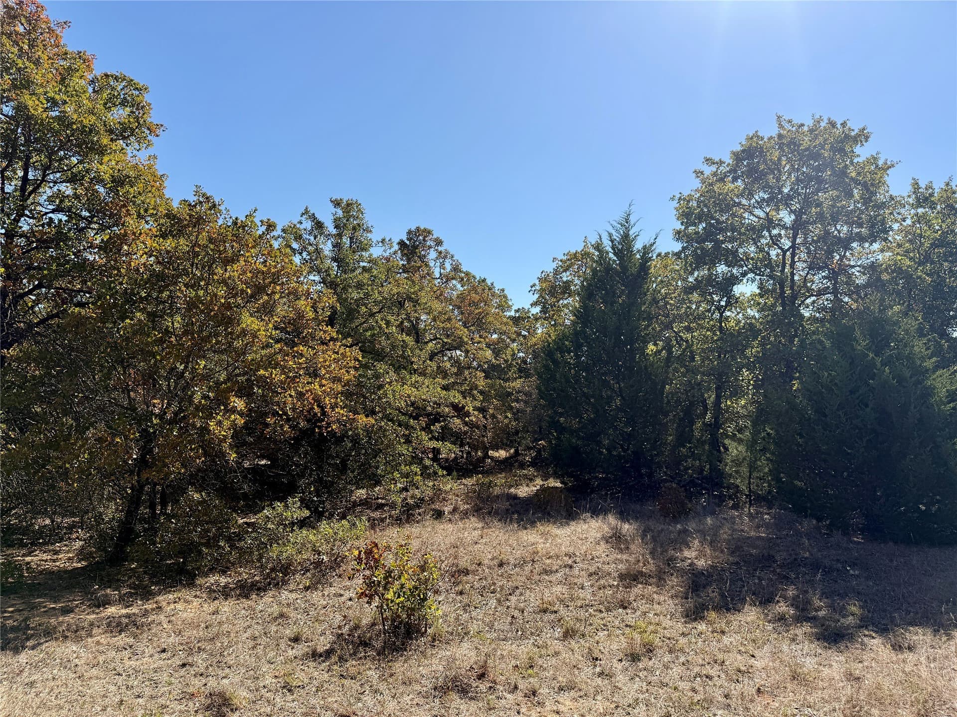 76.52 acres in Montague County - photo 19