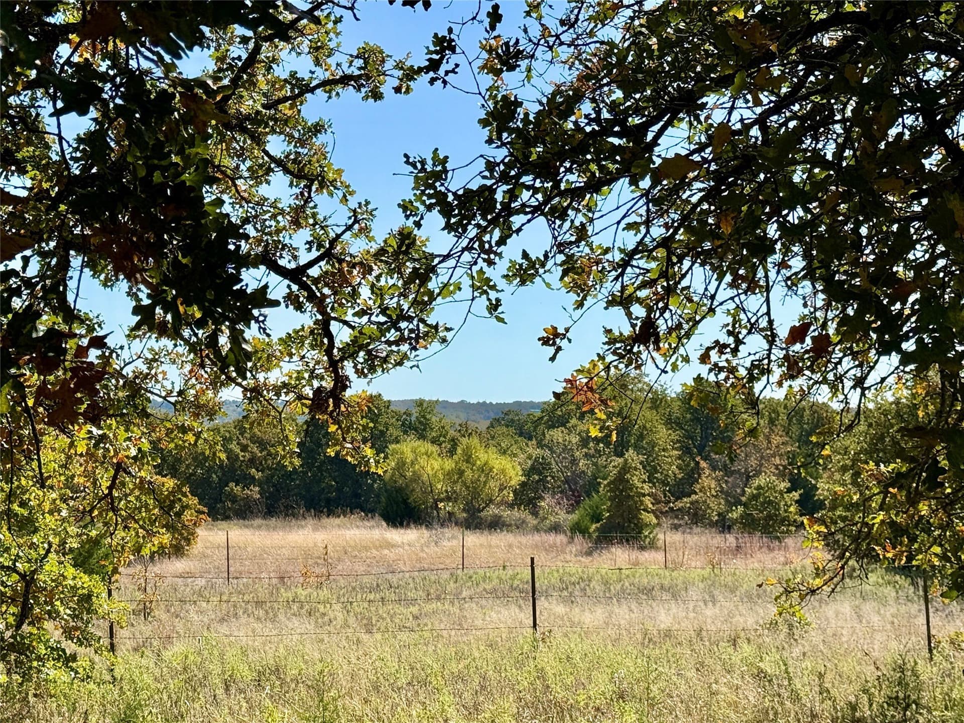 76.52 acres in Montague County - photo 8
