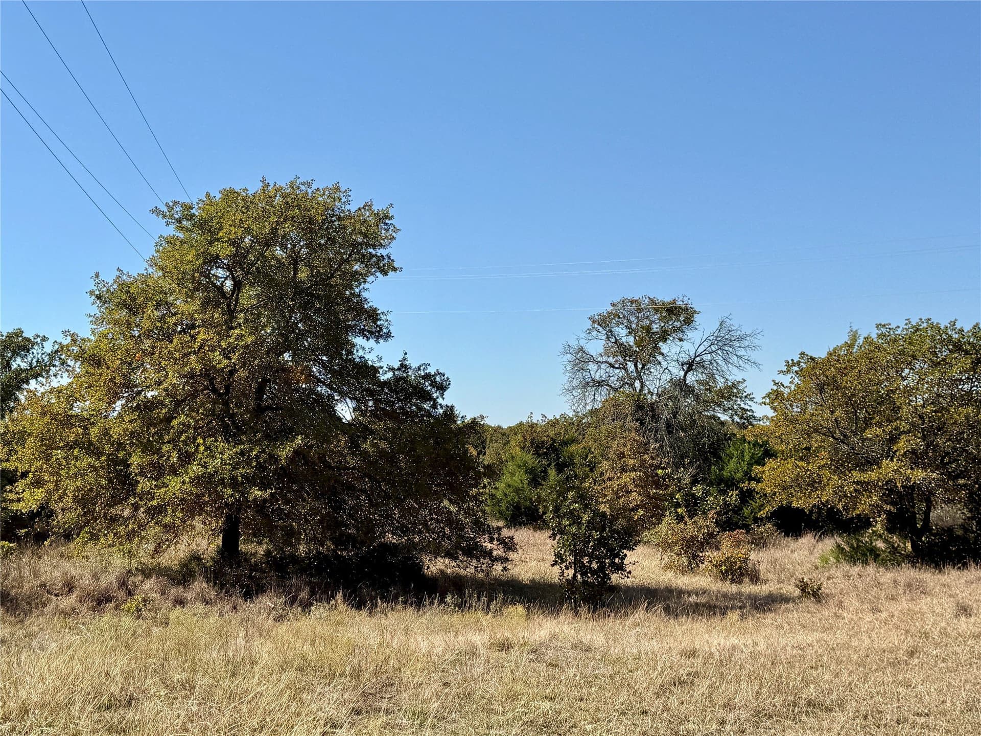 76.52 acres in Montague County featured view
