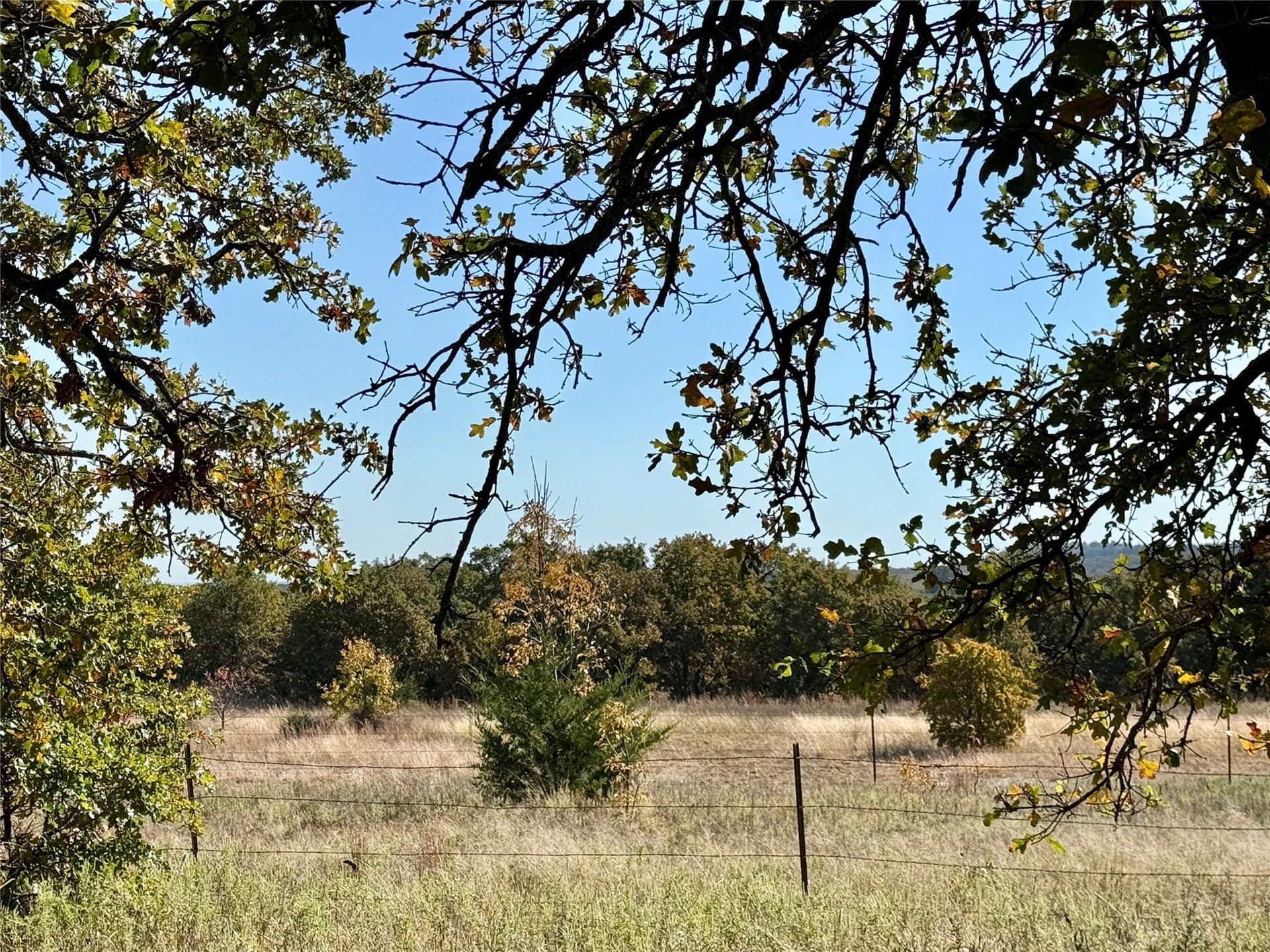 76.52 acres in Montague County - photo 13