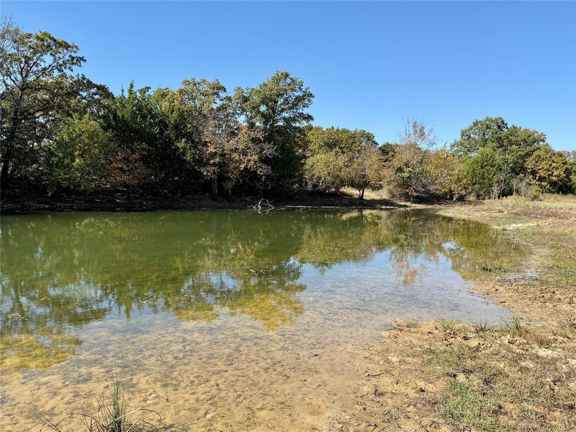 76.52 acres in Montague County gallery image 4