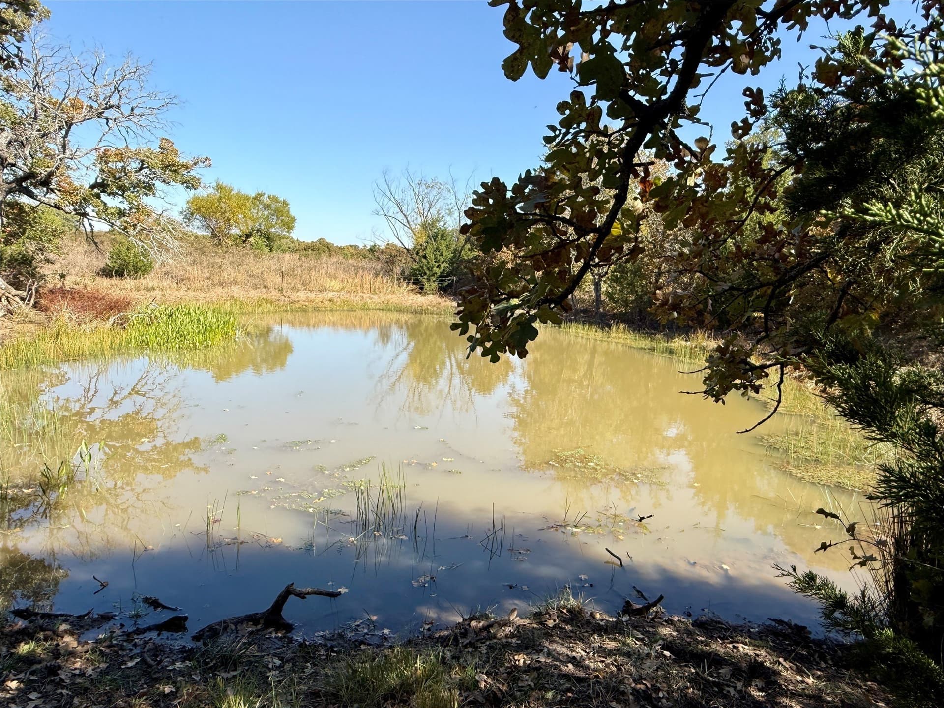 76.52 acres in Montague County - photo 18