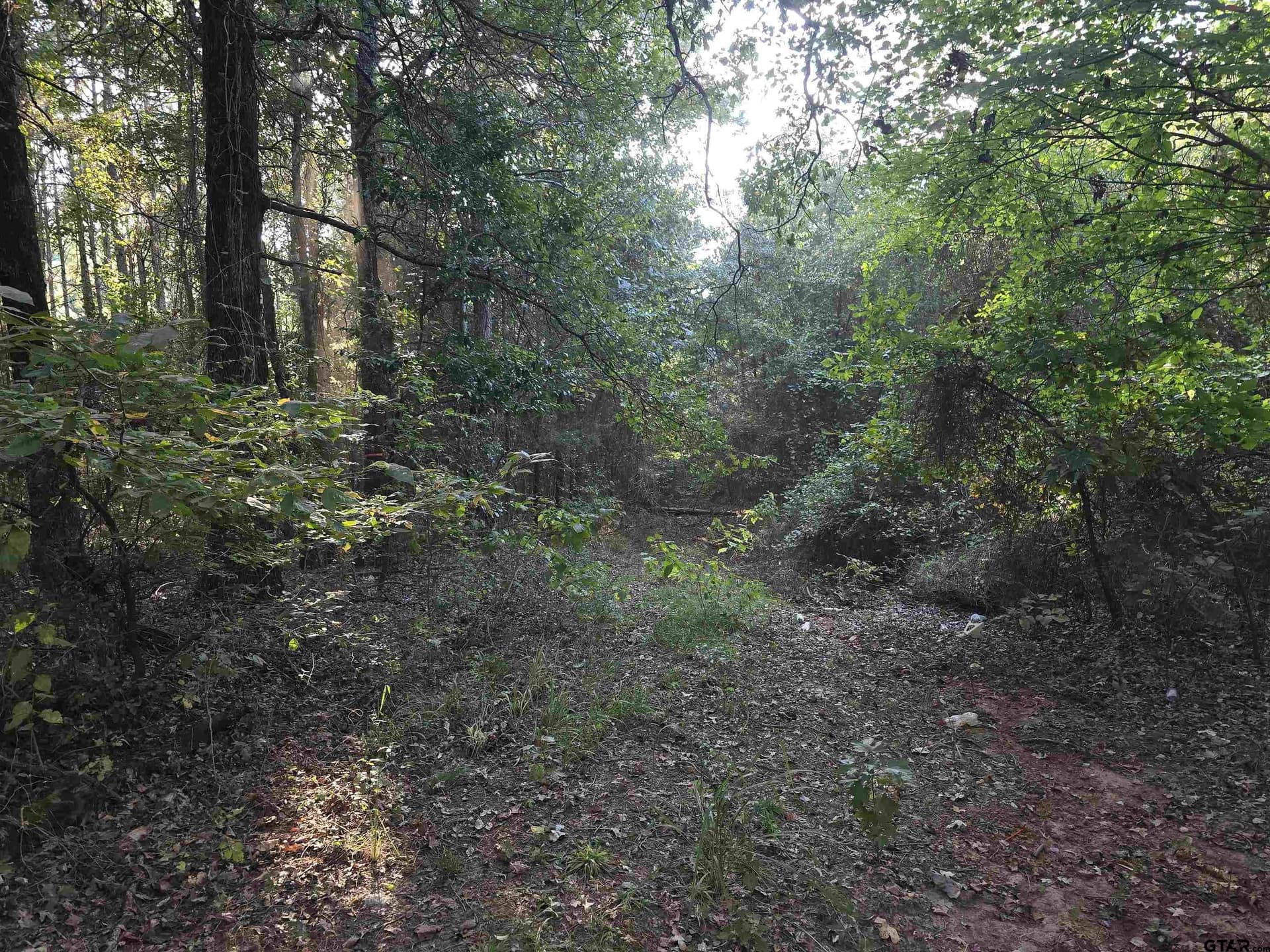 50.04 acres in Cass County featured view