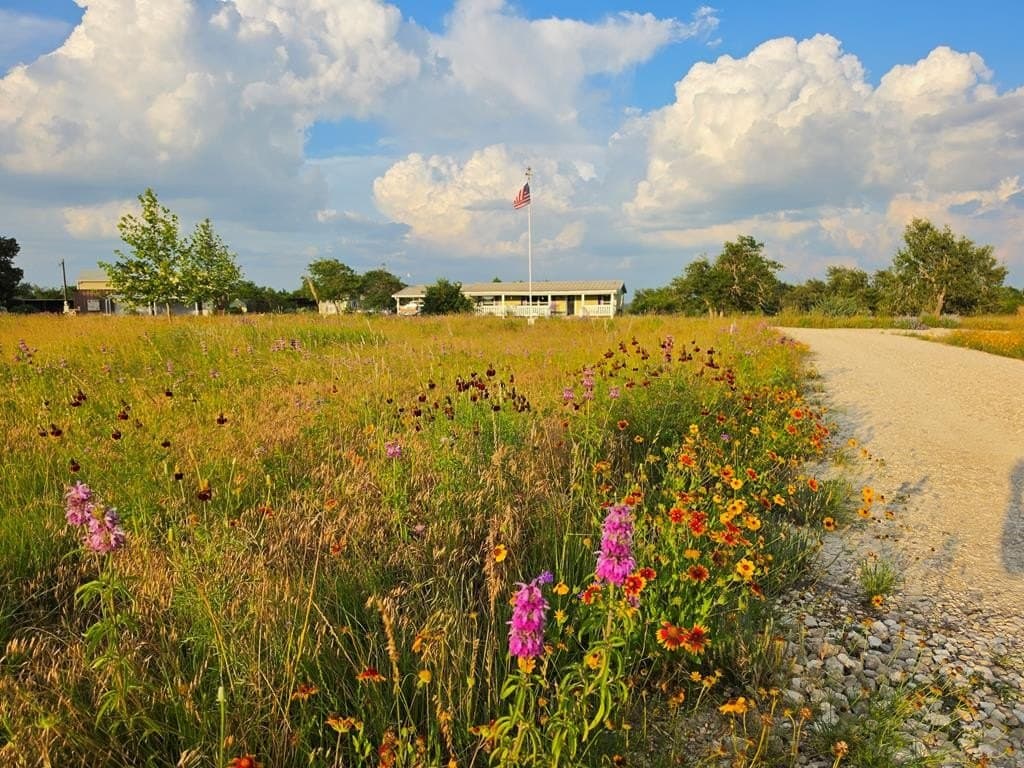 22.01 acres in Gillespie County - photo 49