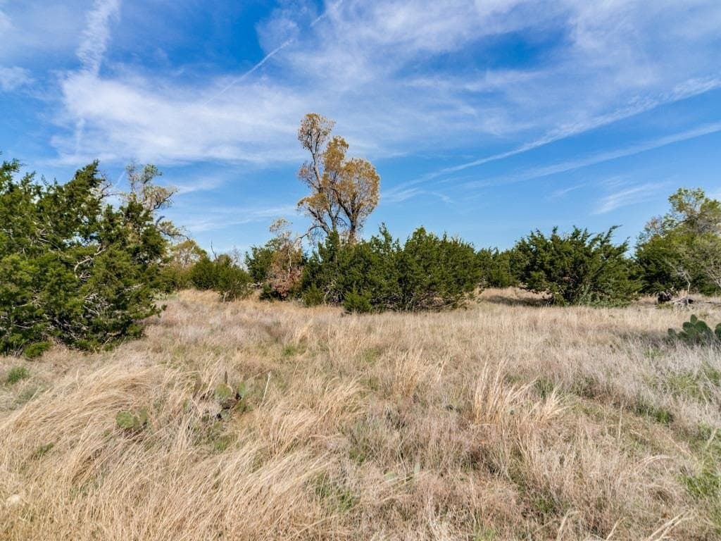 22.01 acres in Gillespie County - photo 44