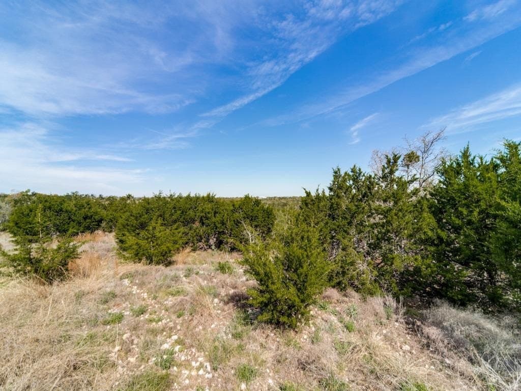22.01 acres in Gillespie County - photo 46