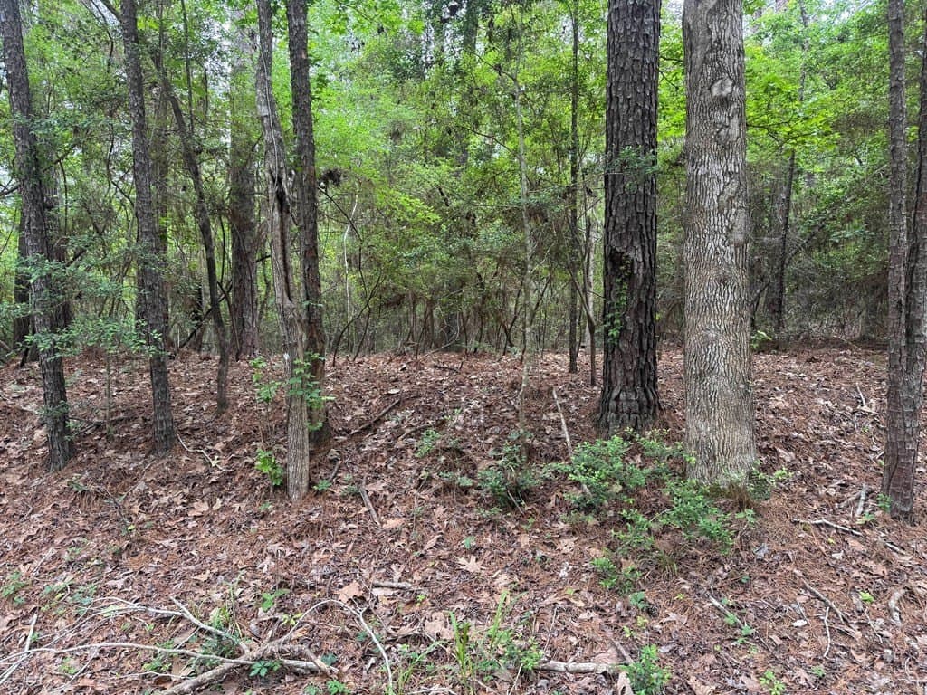 0.48 acres in Texas County gallery image 3