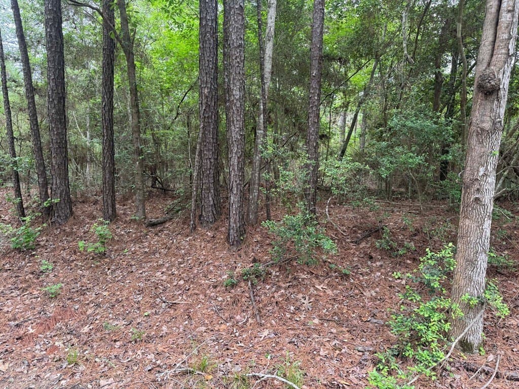 0.48 acres in Texas County featured view