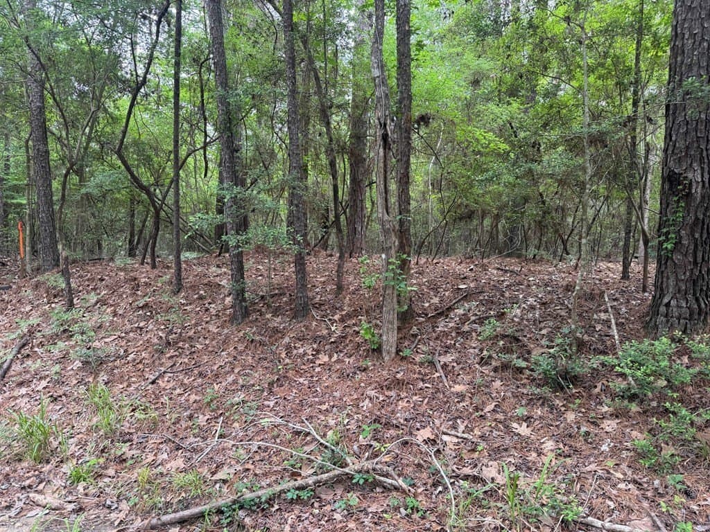 0.48 acres in Texas County gallery image 2