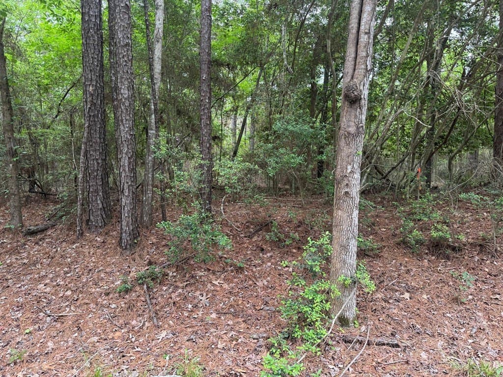 0.48 acres in Texas County gallery image 4