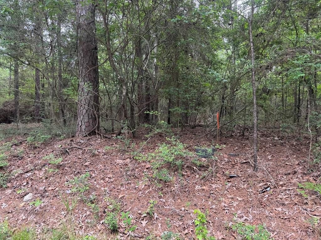 0.48 acres in Texas County