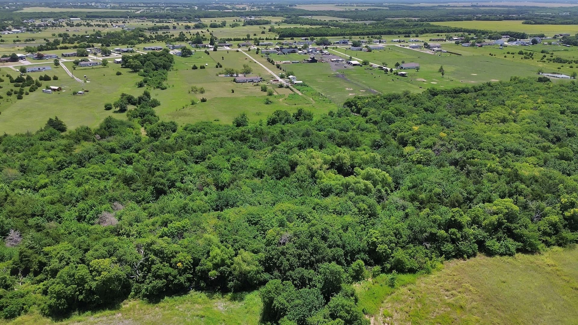 12.03 acres in Collin County - photo 12