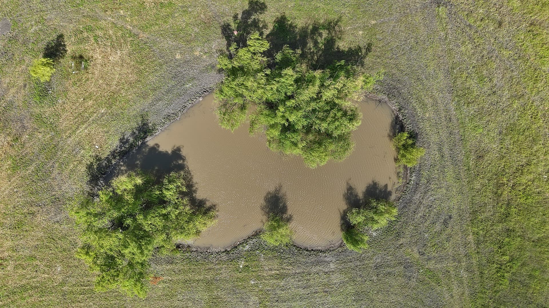 12.03 acres in Collin County - photo 6