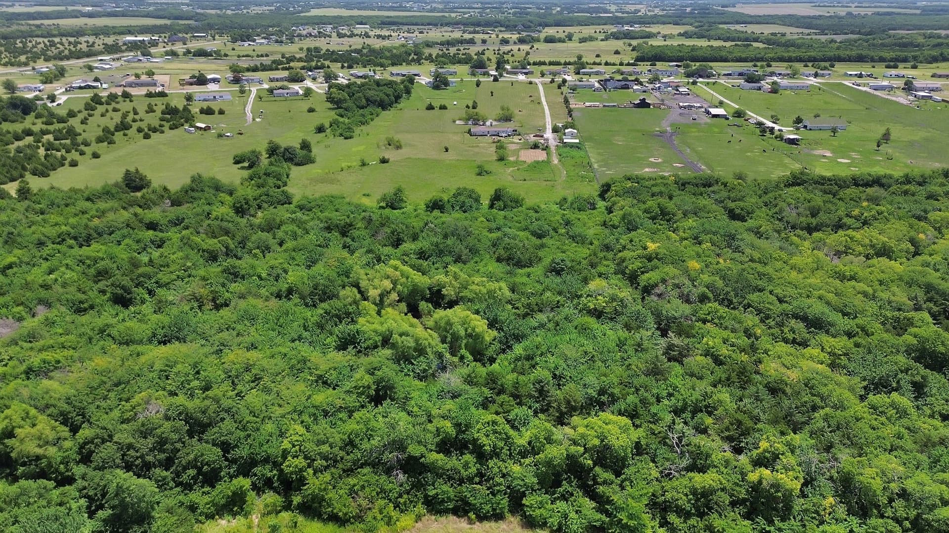 12.03 acres in Collin County gallery image 2