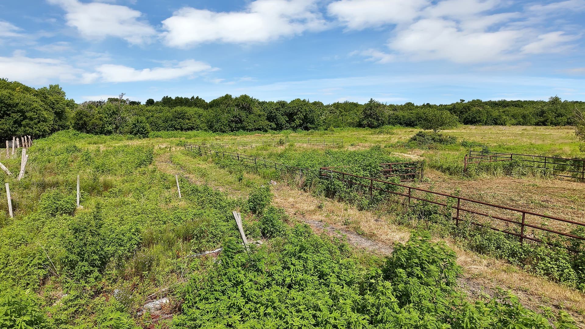 12.03 acres in Collin County - photo 14