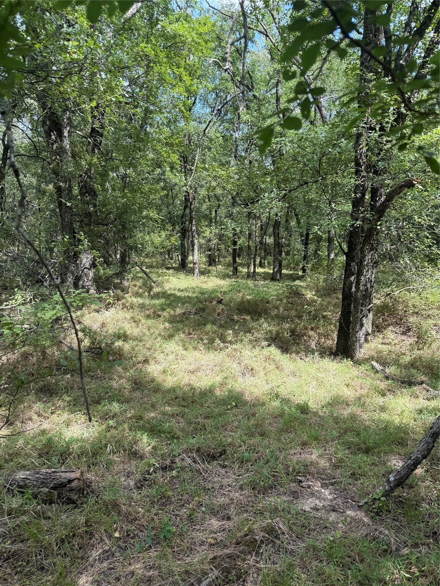 5.97 acres in McLennan County - photo 3