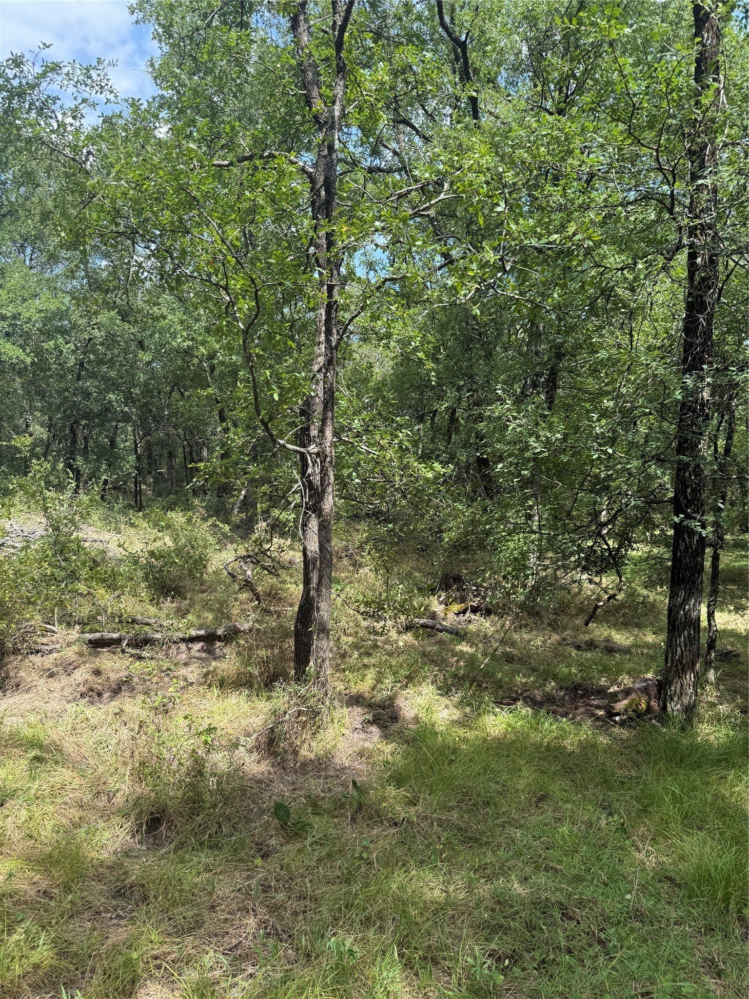 5.97 acres in McLennan County - photo 2