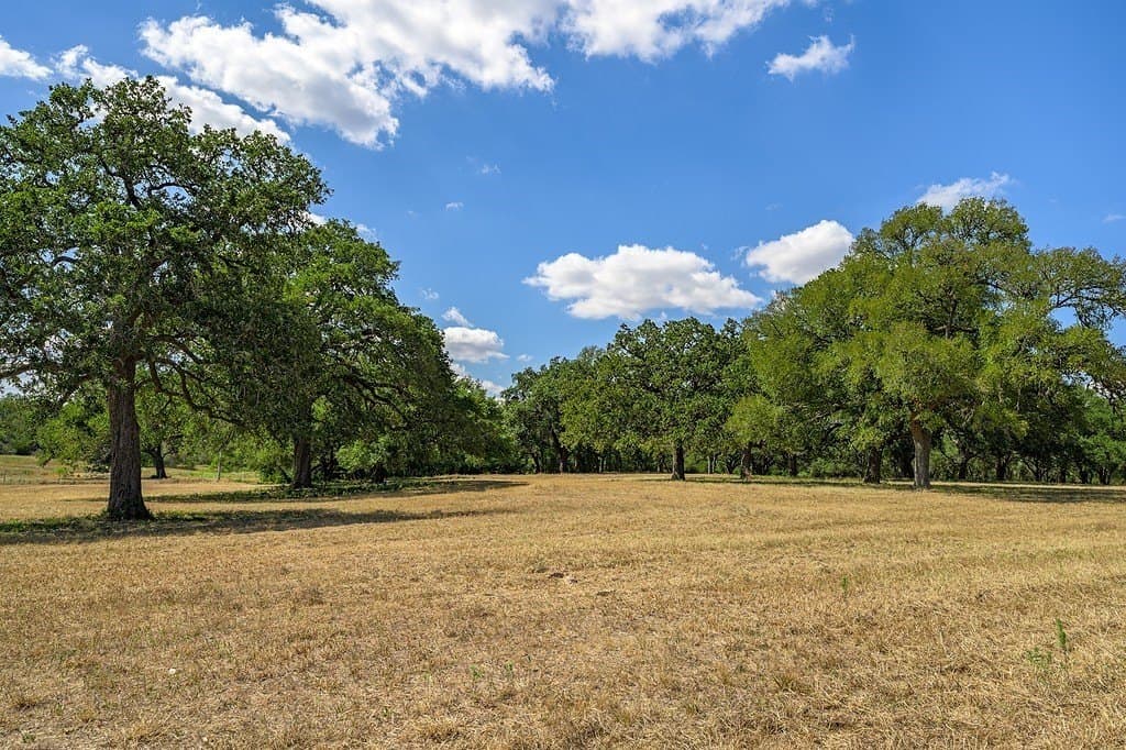57.46 acres in Fayette County - photo 4