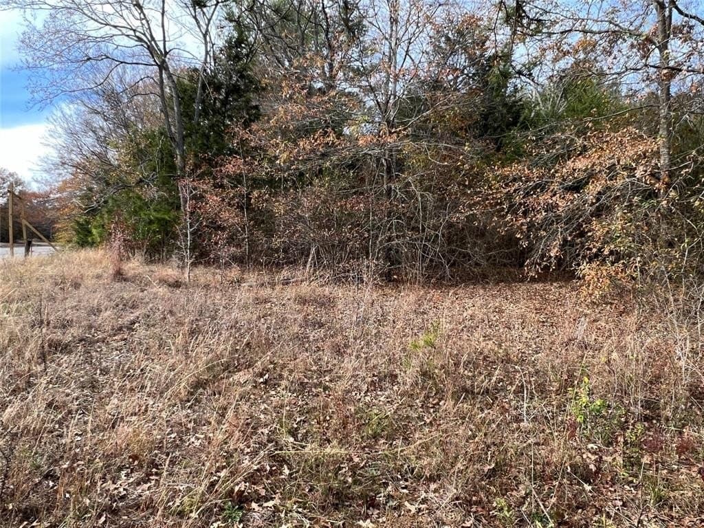 1.7 acres in Van Zandt County gallery image 3