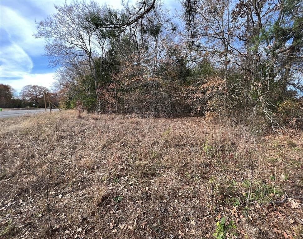 1.7 acres in Van Zandt County gallery image 4
