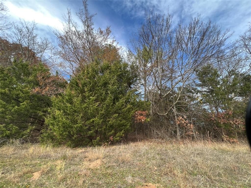 1.7 acres in Van Zandt County gallery image 2
