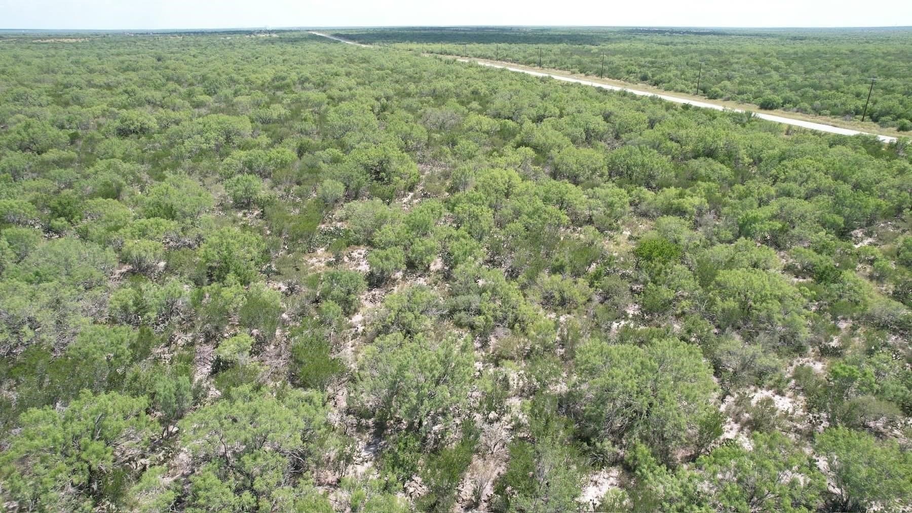 100 acres in La Salle County gallery image 4