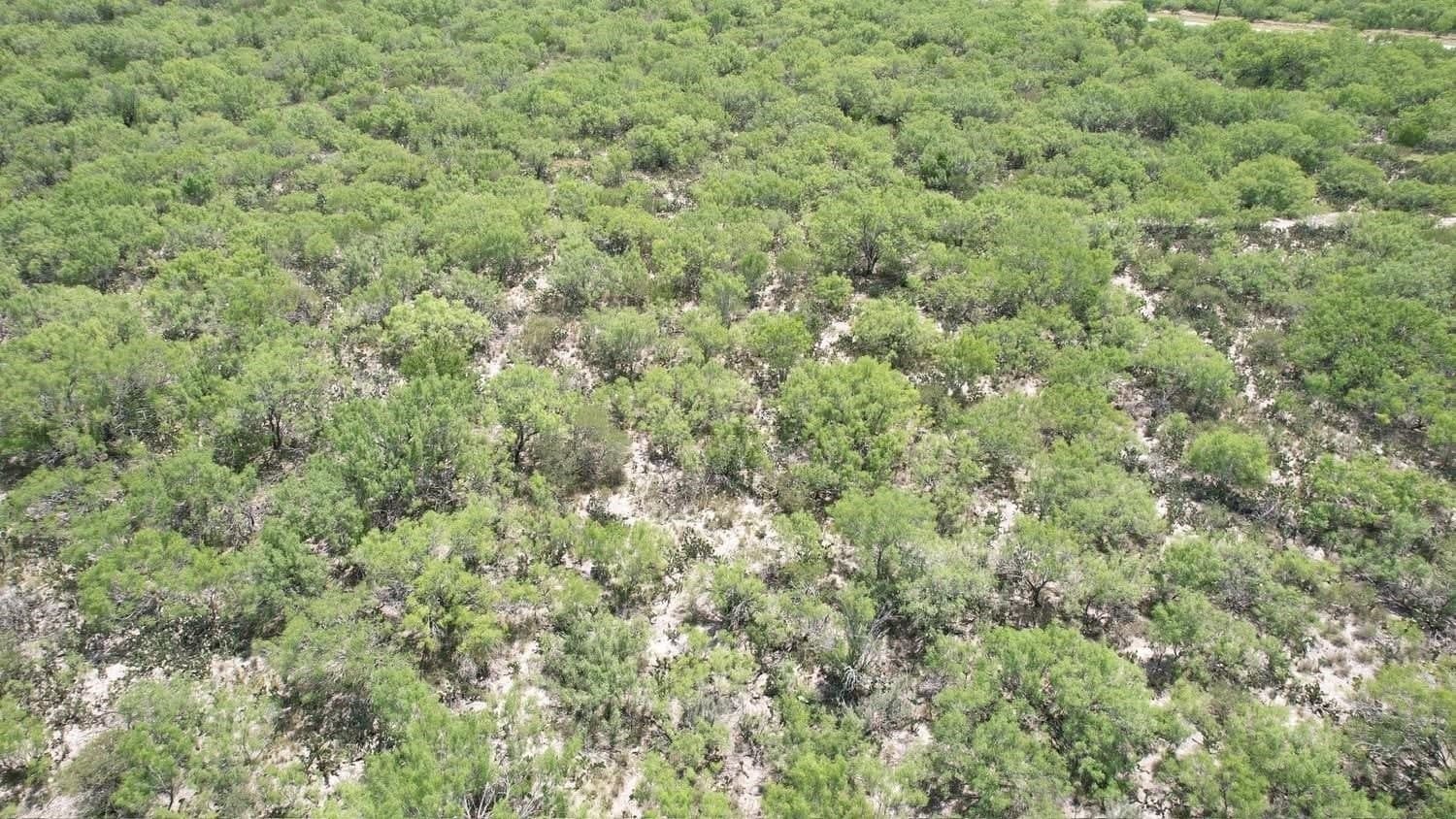 100 acres in La Salle County gallery image 3