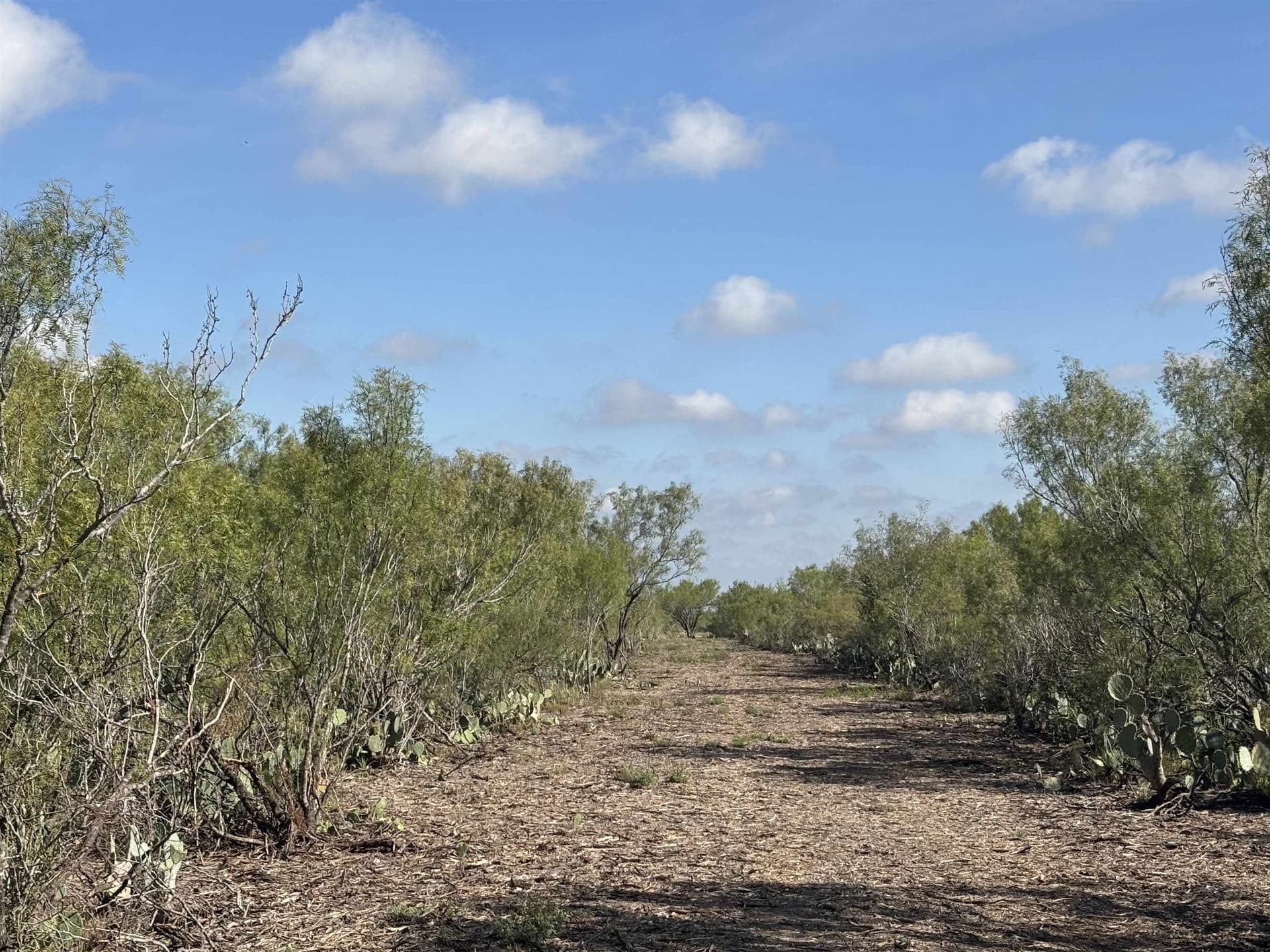 100 acres in La Salle County featured view