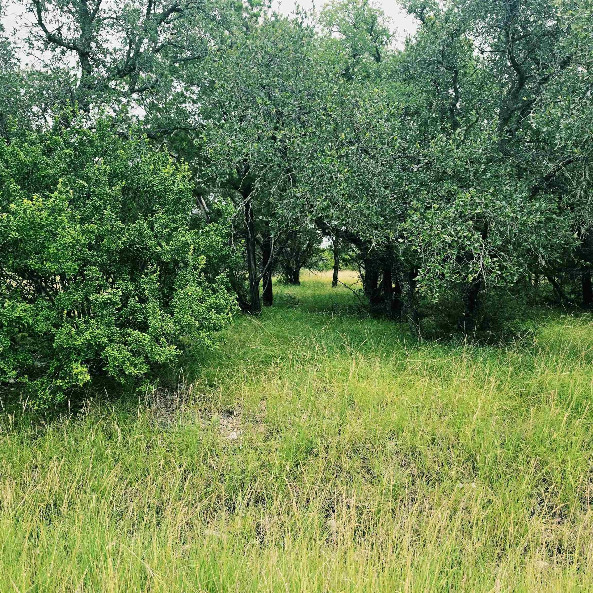 0.16 acres in Burnet County gallery image 4
