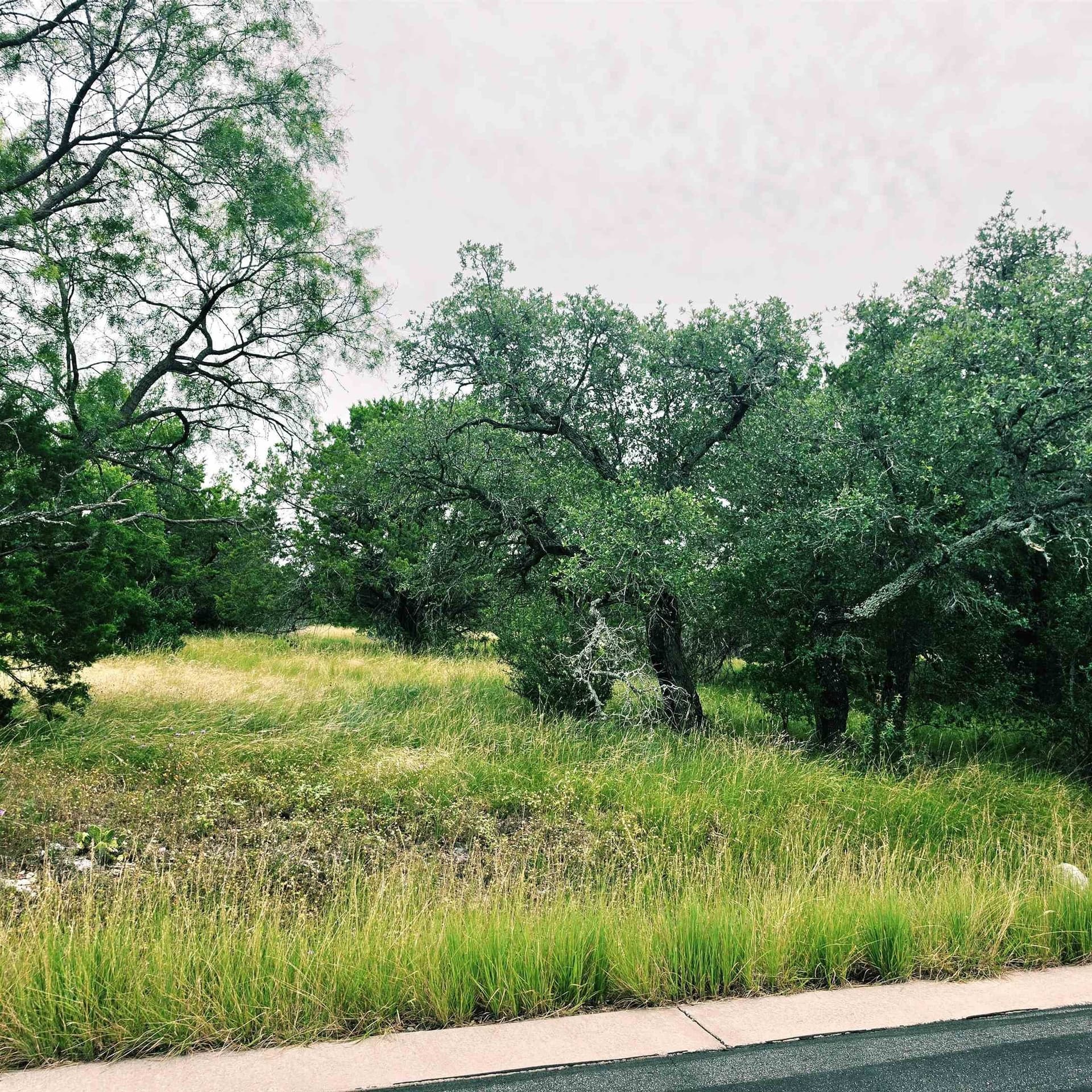 0.16 acres in Burnet County gallery image 3