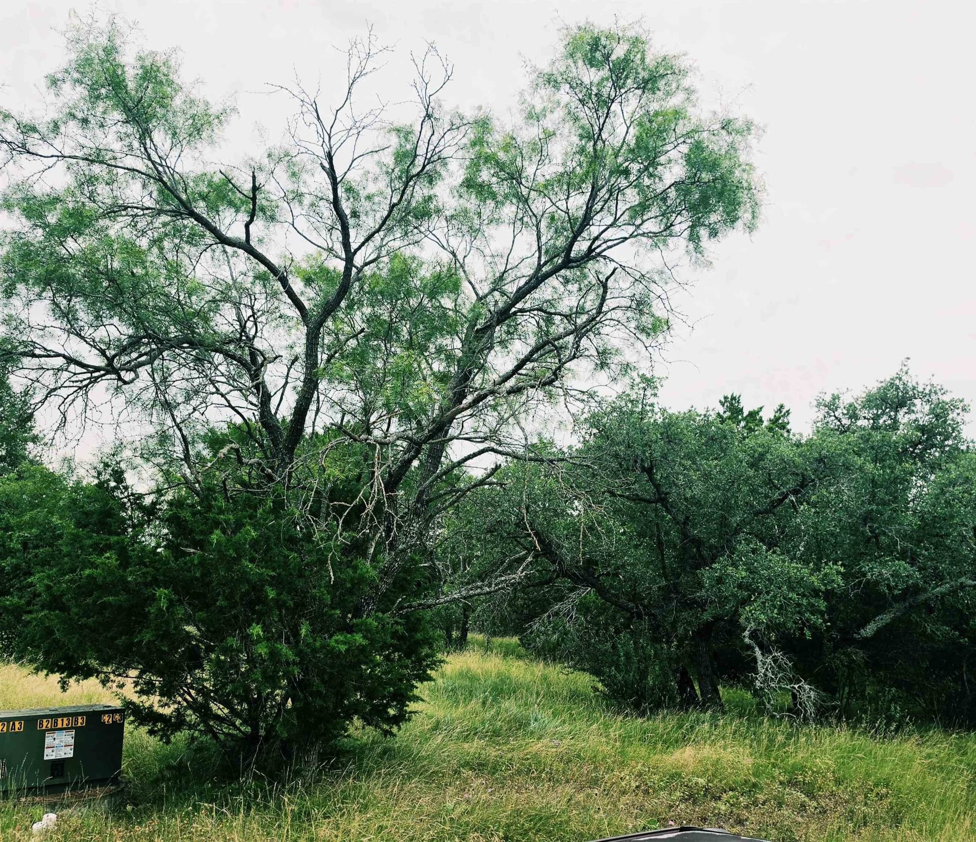 0.16 acres in Burnet County gallery image 2