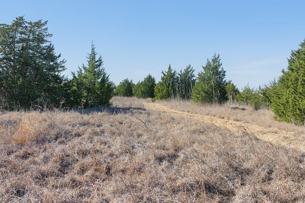 27.04 acres in Fayette County - photo 15