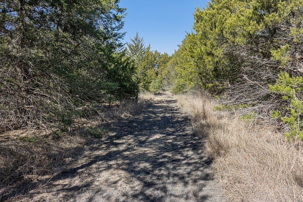 27.04 acres in Fayette County - photo 19