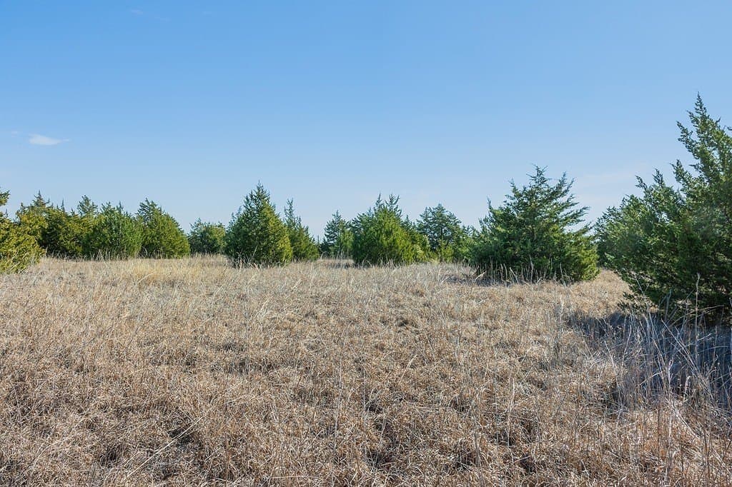 27.04 acres in Fayette County - photo 11