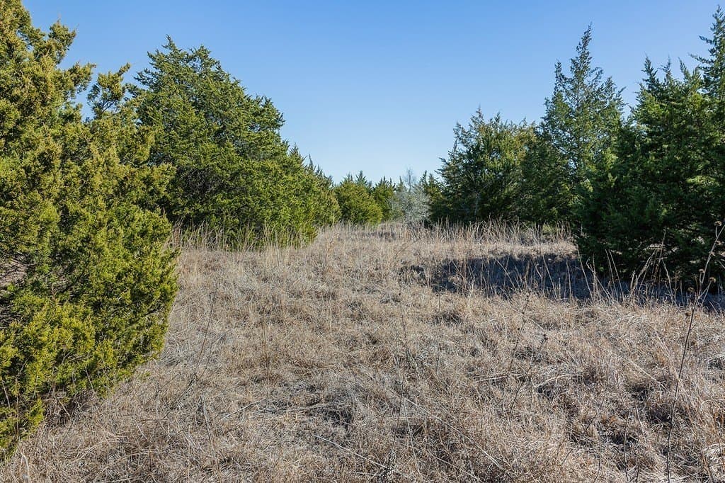 27.04 acres in Fayette County - photo 14