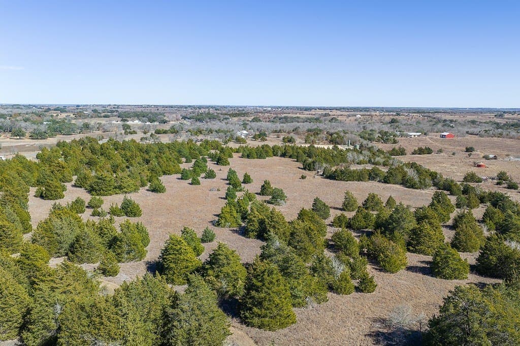 27.04 acres in Fayette County - photo 9