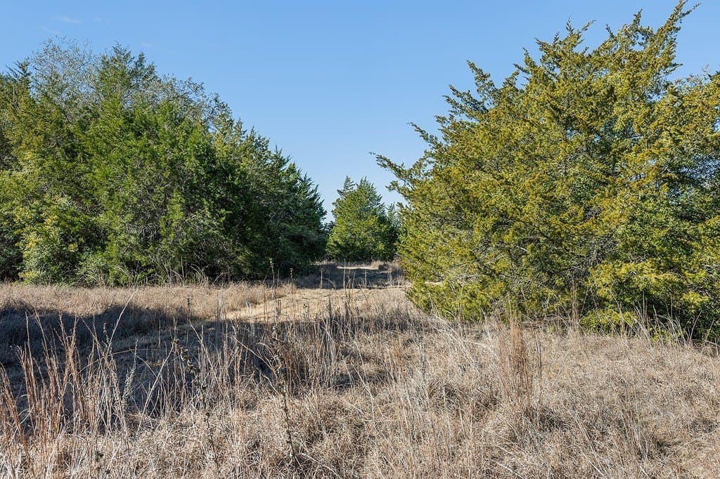 27.04 acres in Fayette County - photo 12