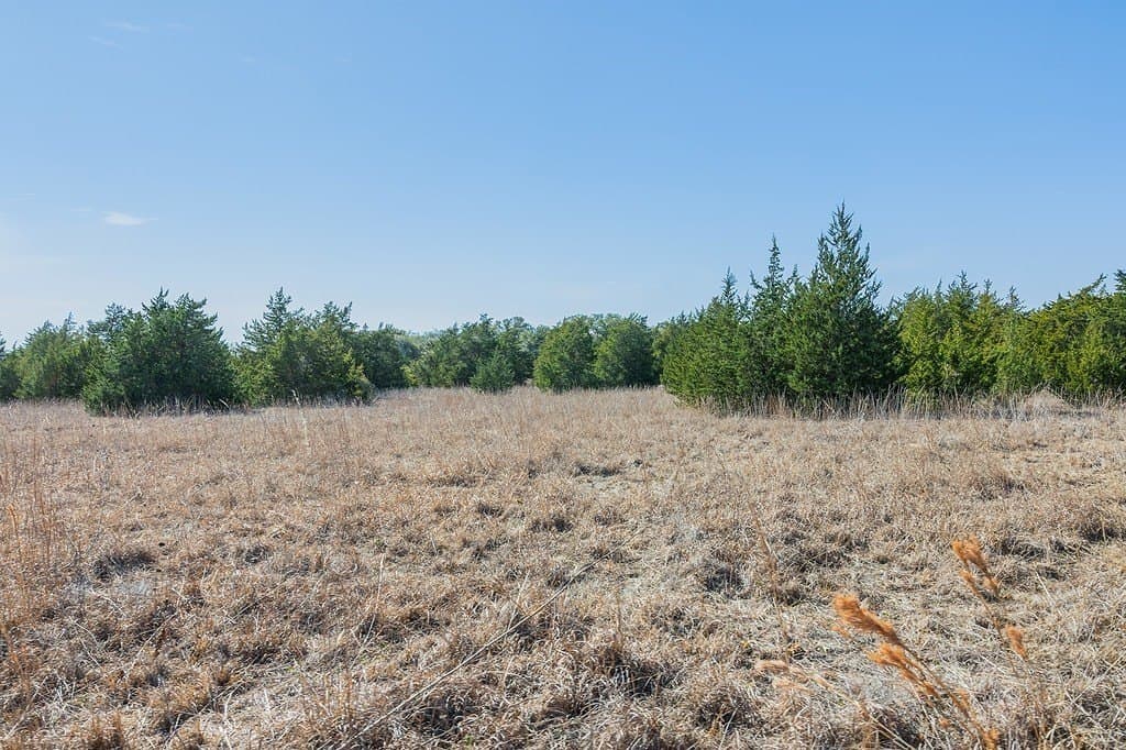 27.04 acres in Fayette County - photo 13