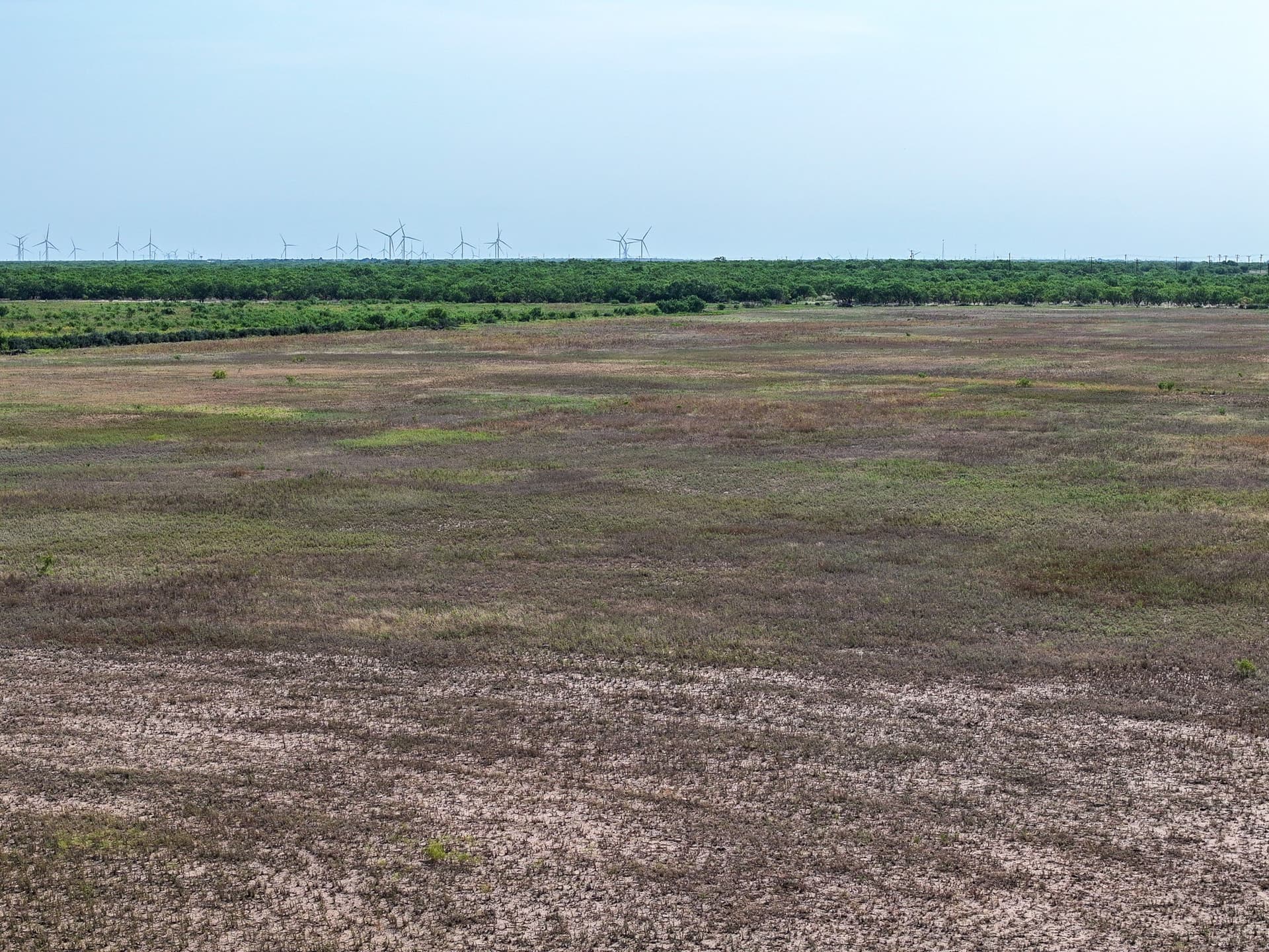 88.75 acres in Taylor County - photo 25