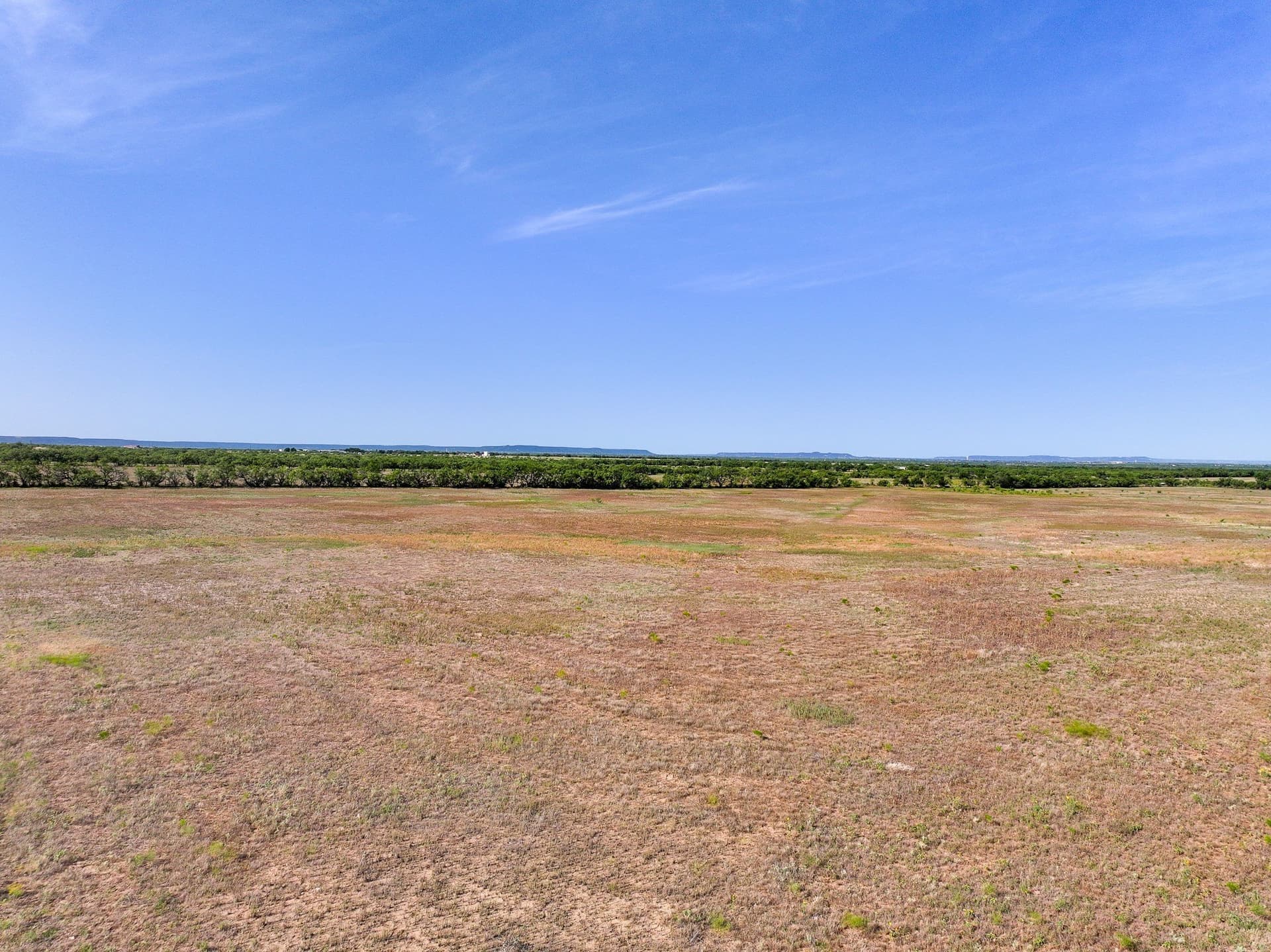 88.75 acres in Taylor County - photo 5