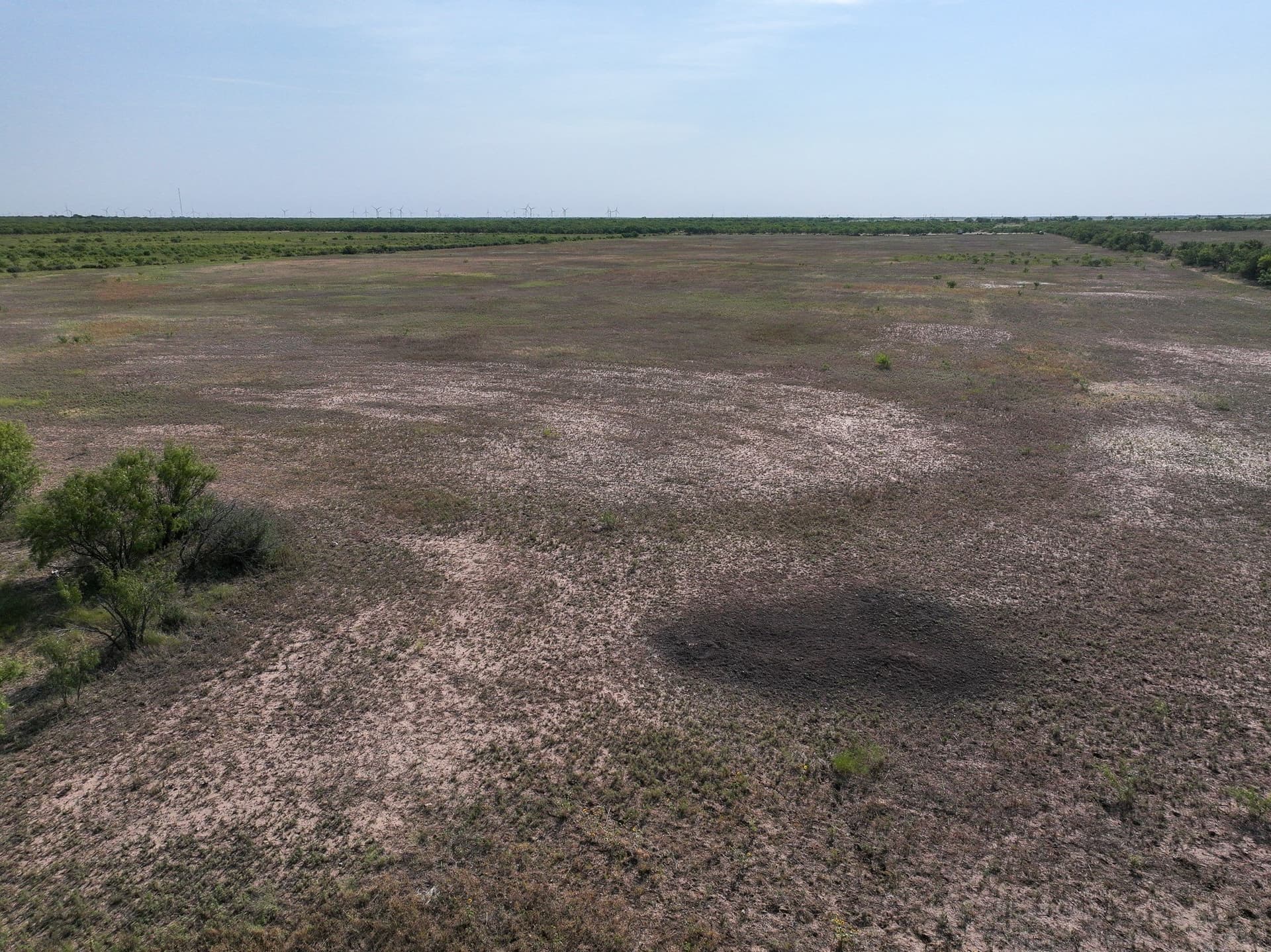 88.75 acres in Taylor County - photo 19