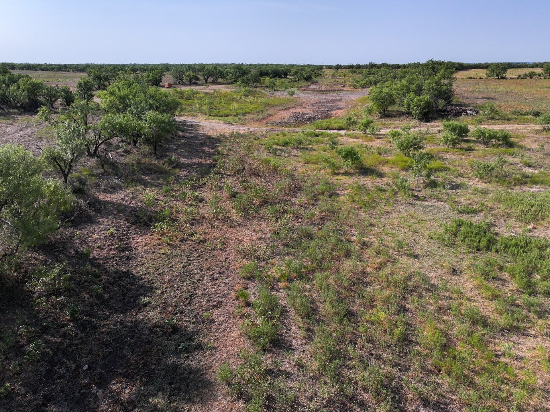88.75 acres in Taylor County - photo 7