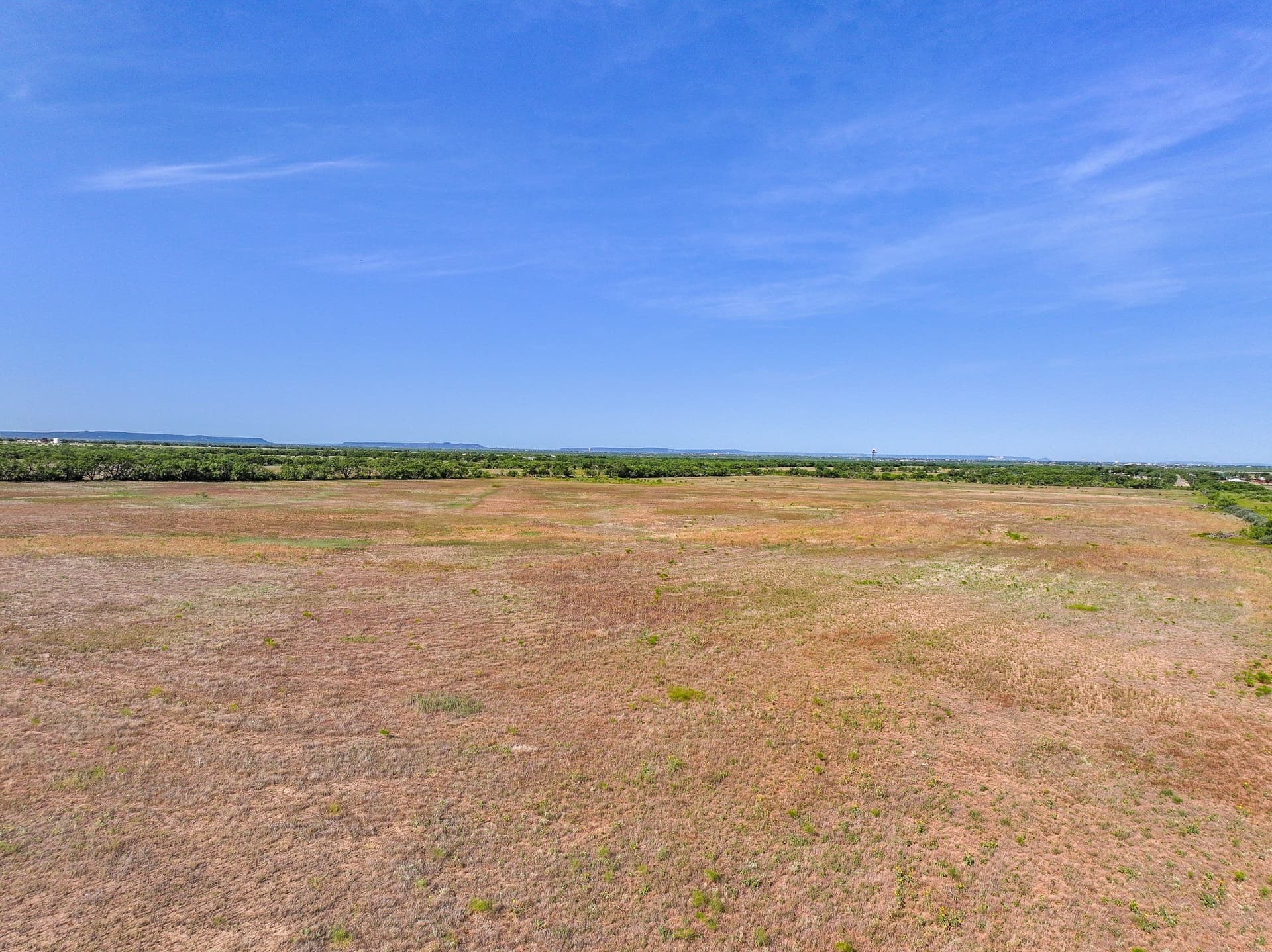 88.75 acres in Taylor County