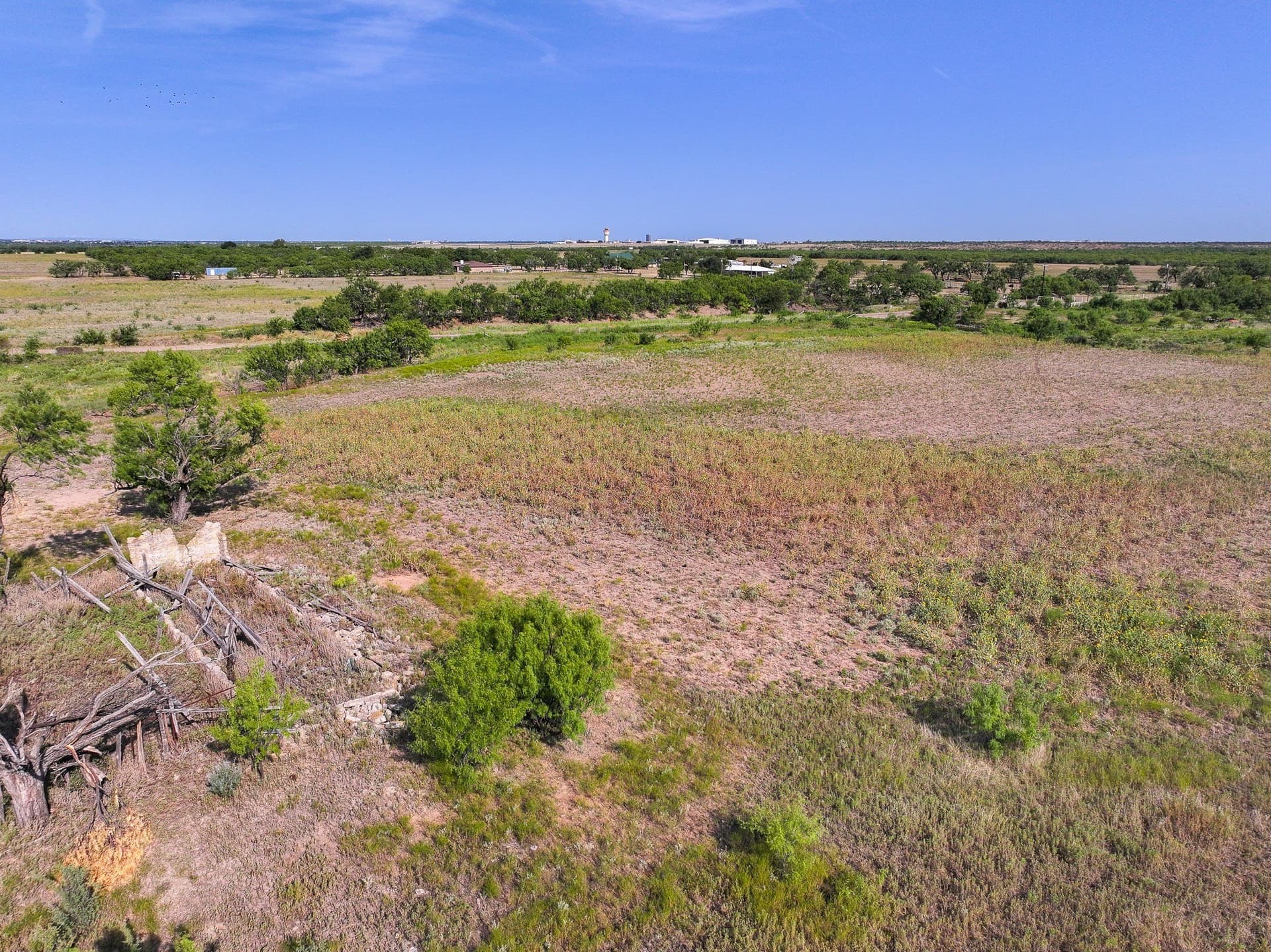 88.75 acres in Taylor County - photo 17