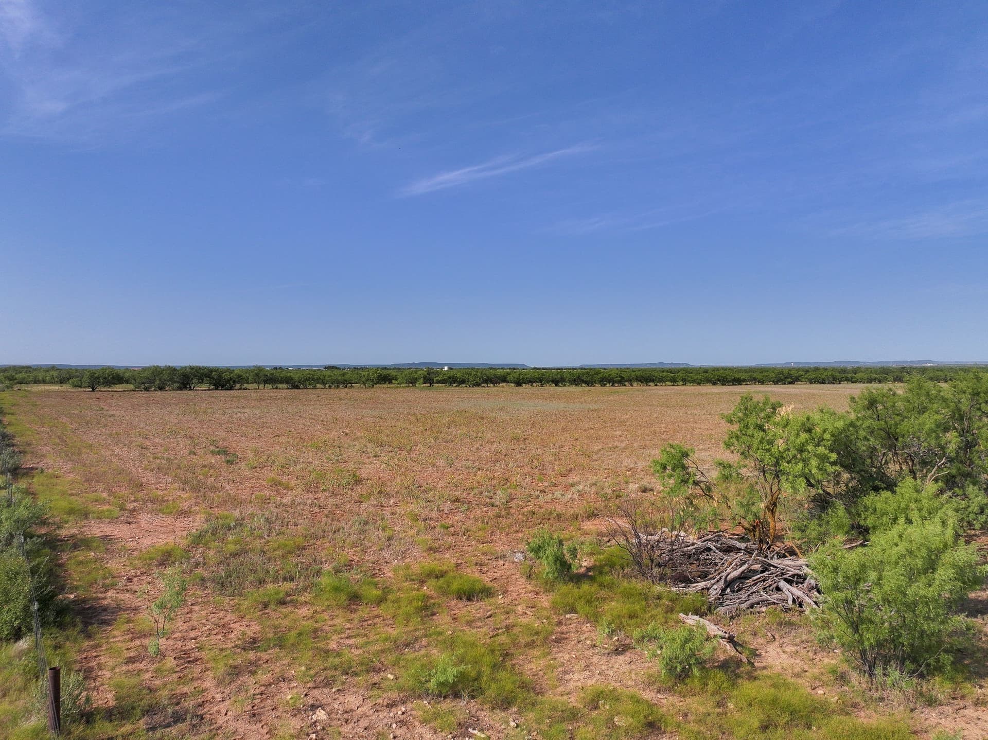 88.75 acres in Taylor County - photo 2